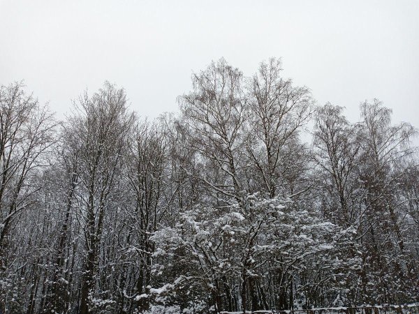 体育游戏app平台确认这是38%冻了案例的共同诱因-开云(中国)Kaiyun·体育官方网站 登录入口 体育游戏app平台确认这是38%冻了案例的共同诱因-开云(中国)Kaiyun·体育官方网站 登录入口