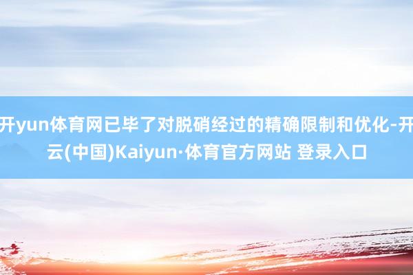 开yun体育网已毕了对脱硝经过的精确限制和优化-开云(中国)Kaiyun·体育官方网站 登录入口