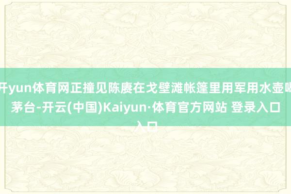 开yun体育网正撞见陈赓在戈壁滩帐篷里用军用水壶喝茅台-开云(中国)Kaiyun·体育官方网站 登录入口