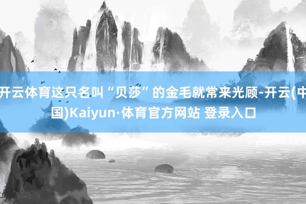 开云体育这只名叫“贝莎”的金毛就常来光顾-开云(中国)Kaiyun·体育官方网站 登录入口