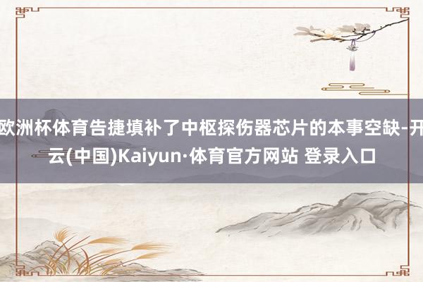 欧洲杯体育告捷填补了中枢探伤器芯片的本事空缺-开云(中国)Kaiyun·体育官方网站 登录入口