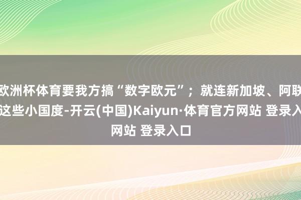 欧洲杯体育要我方搞“数字欧元”；就连新加坡、阿联酋这些小国度-开云(中国)Kaiyun·体育官方网站 登录入口